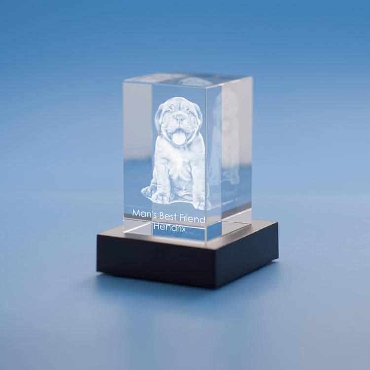Just Because 3D Photo Crystal – Thoughtful Personalized Gift