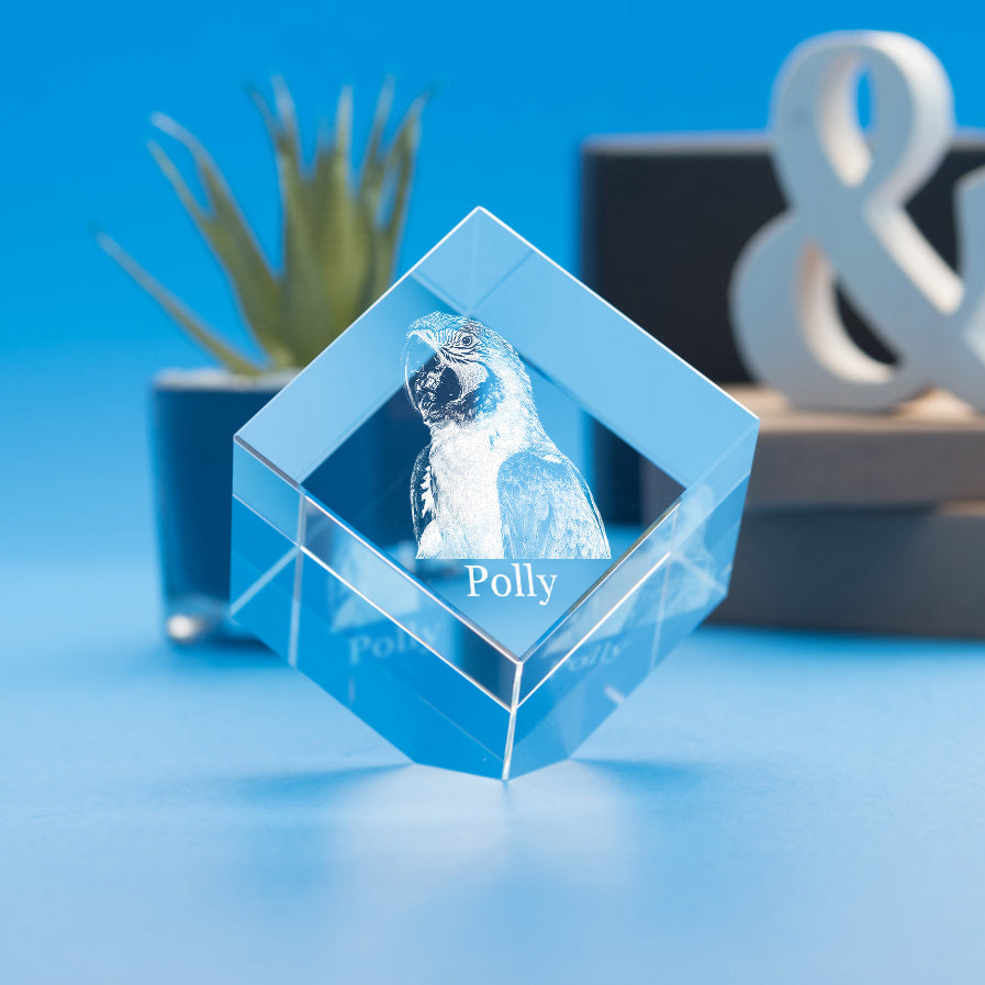 Pets Cube Crystal, 3D Engraved