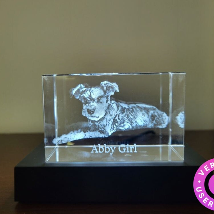 Brick 3D Photo Crystal