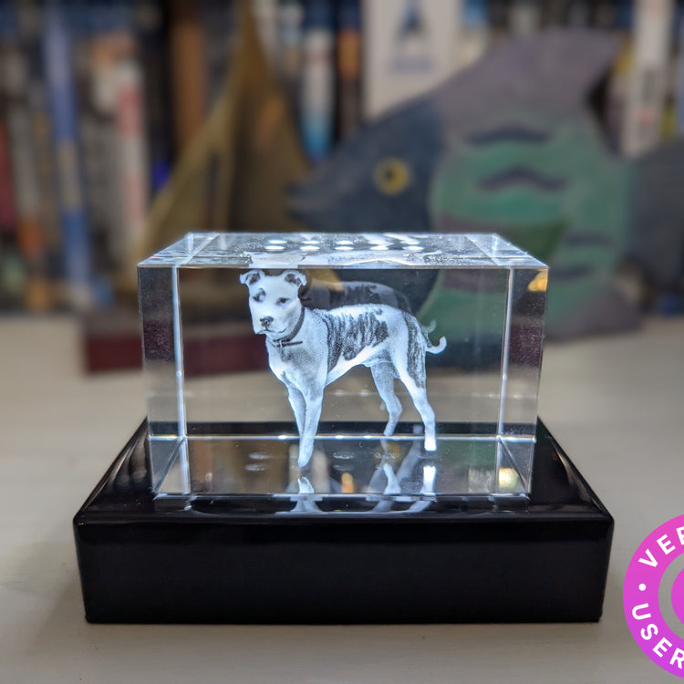 Brick 3D Photo Crystal