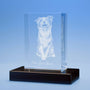 Just Because 3D Photo Crystal – Thoughtful Personalized Gift