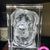 Just Because 3D Photo Crystal – Thoughtful Personalized Gift
