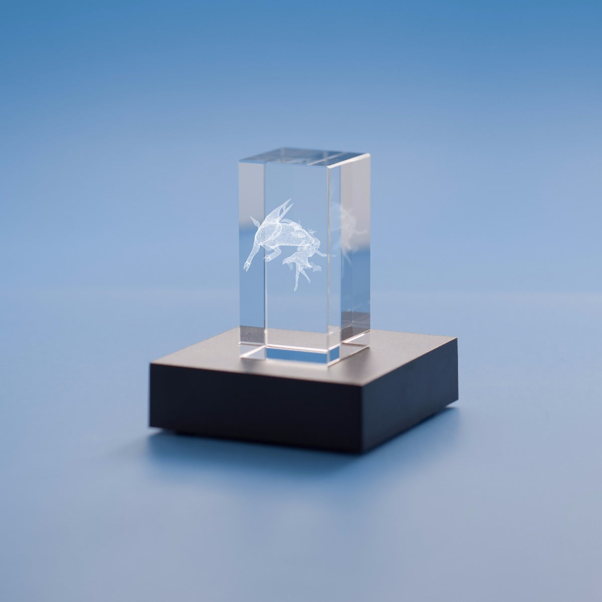 Capricorn Zodiac Sign Tower Crystal, 3D Engraved