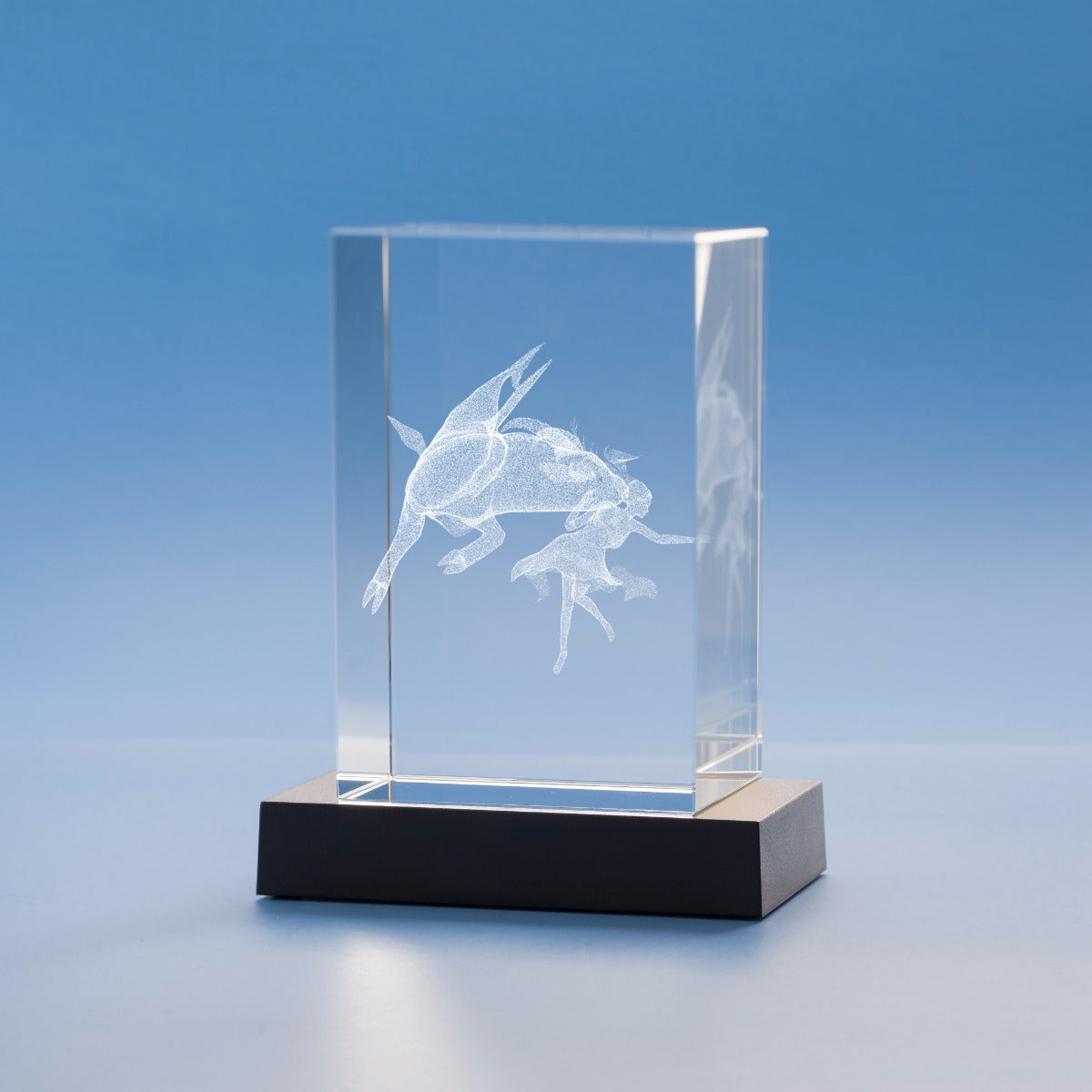 Capricorn Zodiac Sign Tower Crystal, 3D Engraved