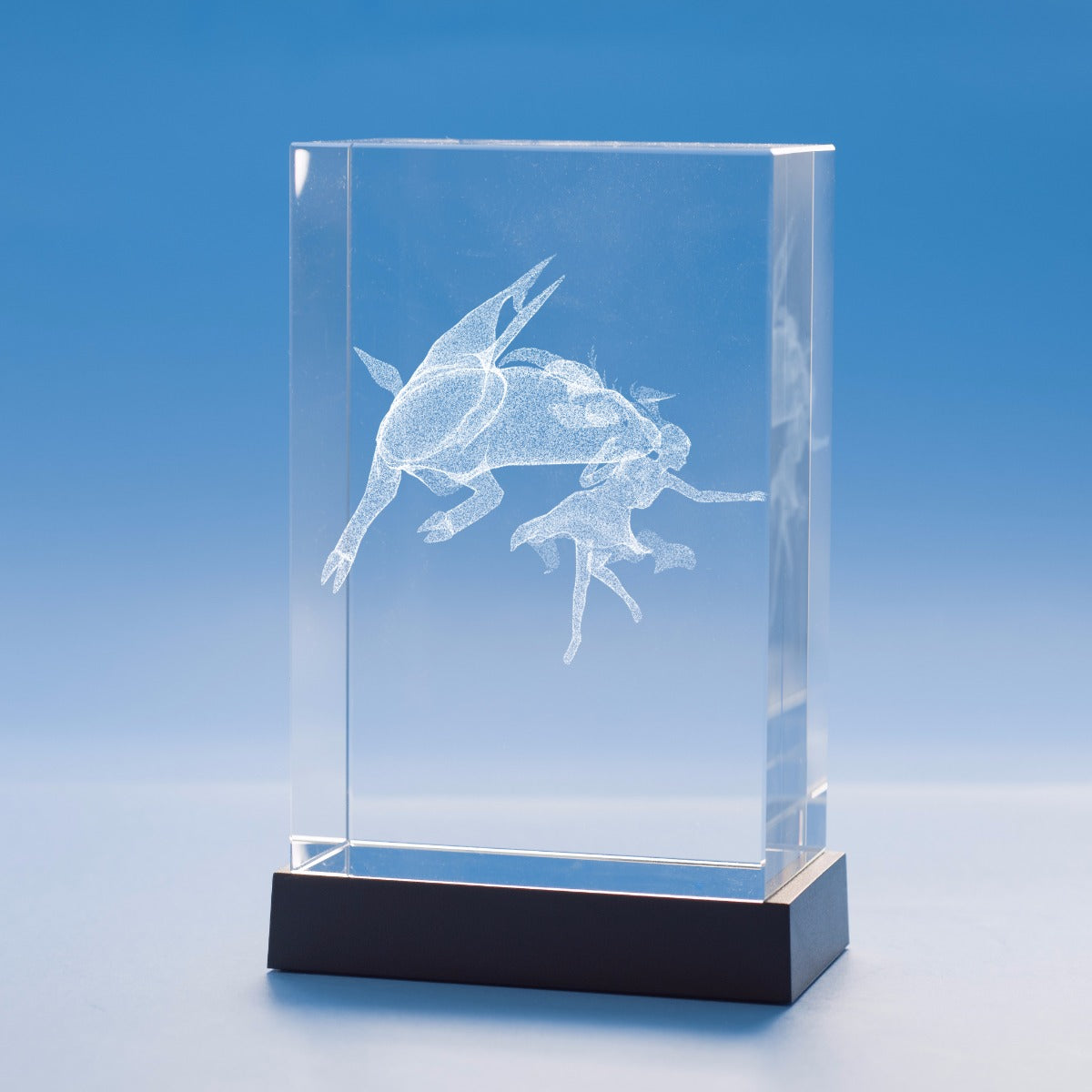 Capricorn Zodiac Sign Tower Crystal, 3D Engraved