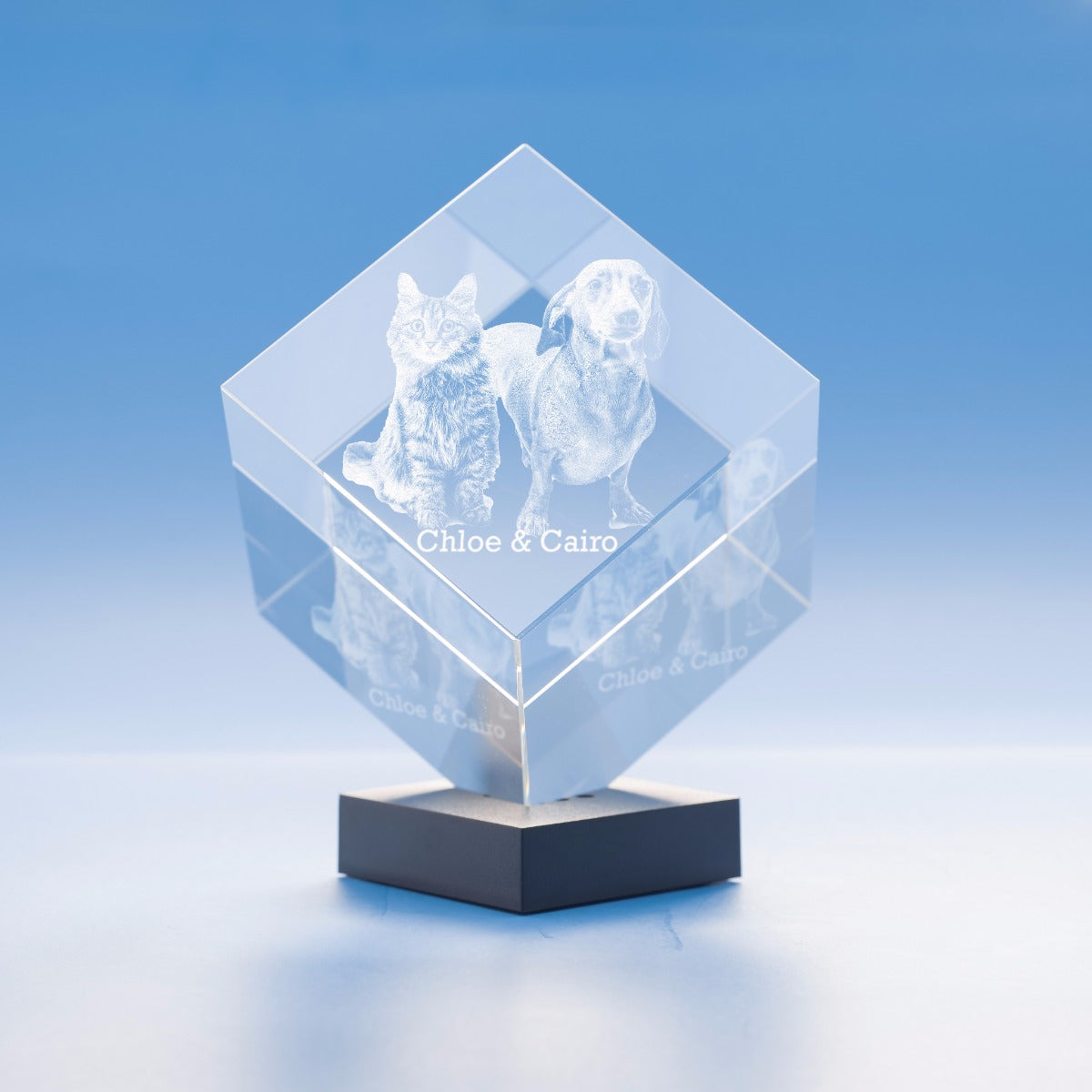 Pets Cube Crystal, 3D Engraved