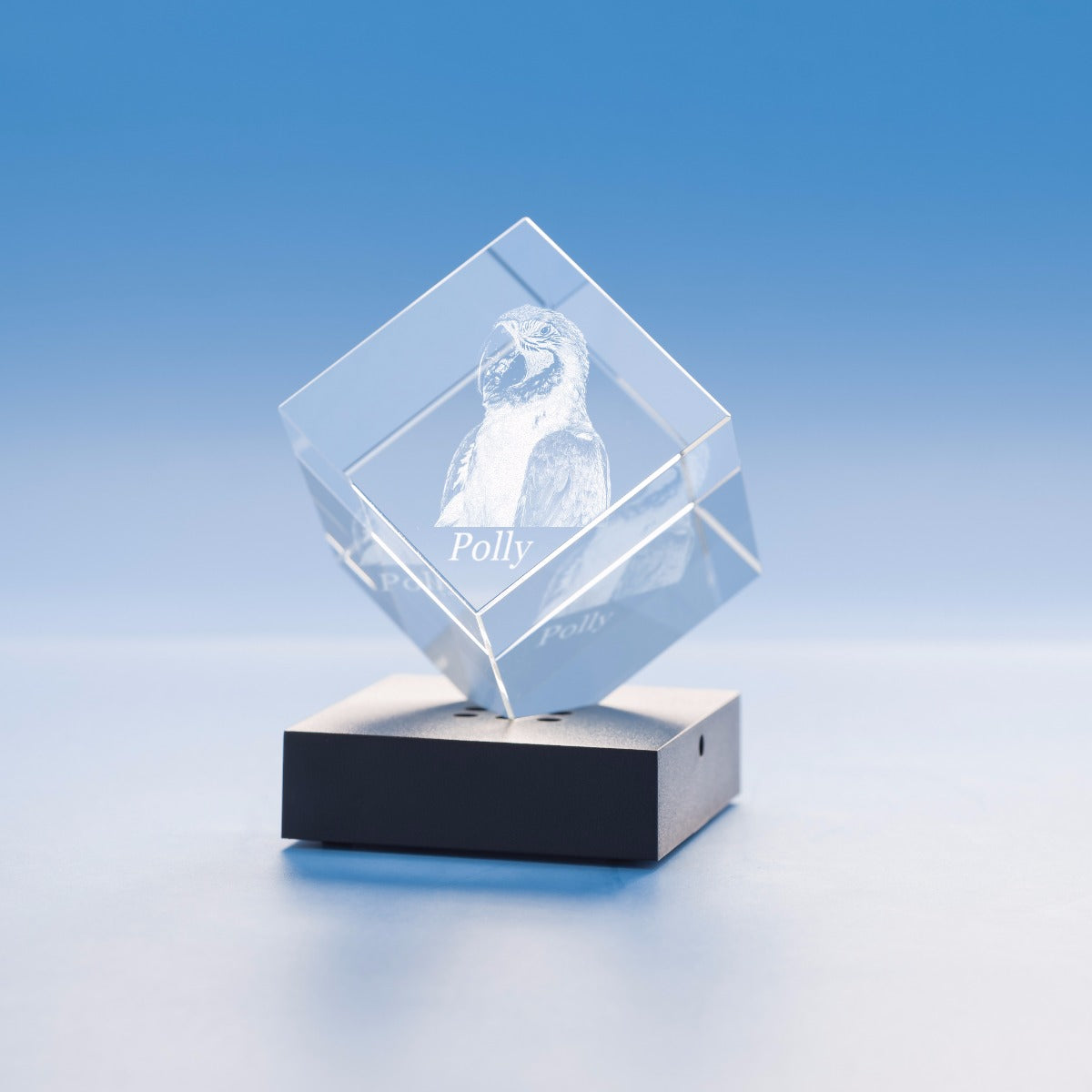 Pets Cube Crystal, 3D Engraved