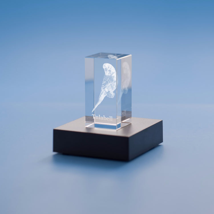 Pet 3D Photo Crystal – Personalized Engraved Pet Memorial