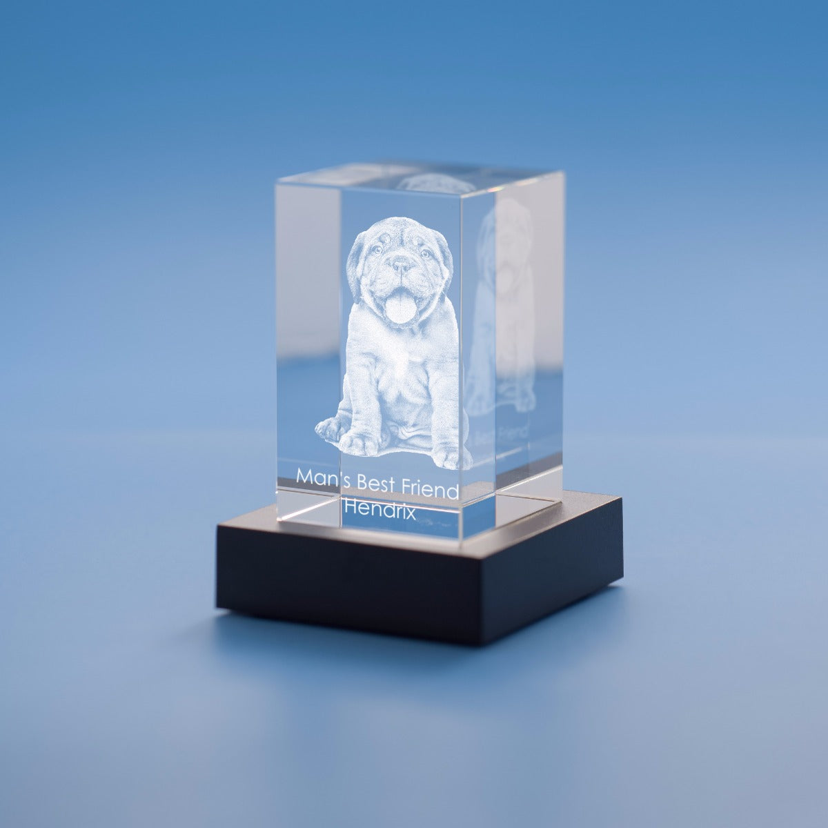 Pets Tower Crystal, 3D Engraved