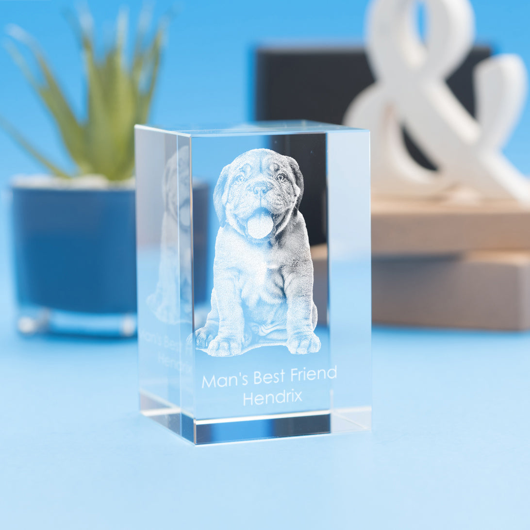 Pets Tower Crystal, 3D Engraved