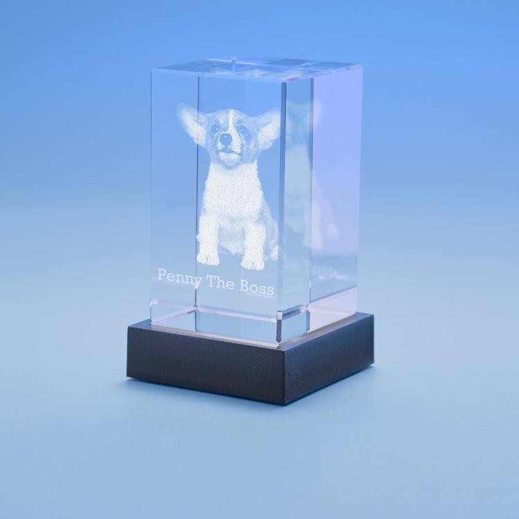 Pet 3D Photo Crystal – Personalized Engraved Pet Memorial