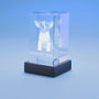 Pet 3D Photo Crystal – Personalized Engraved Pet Memorial