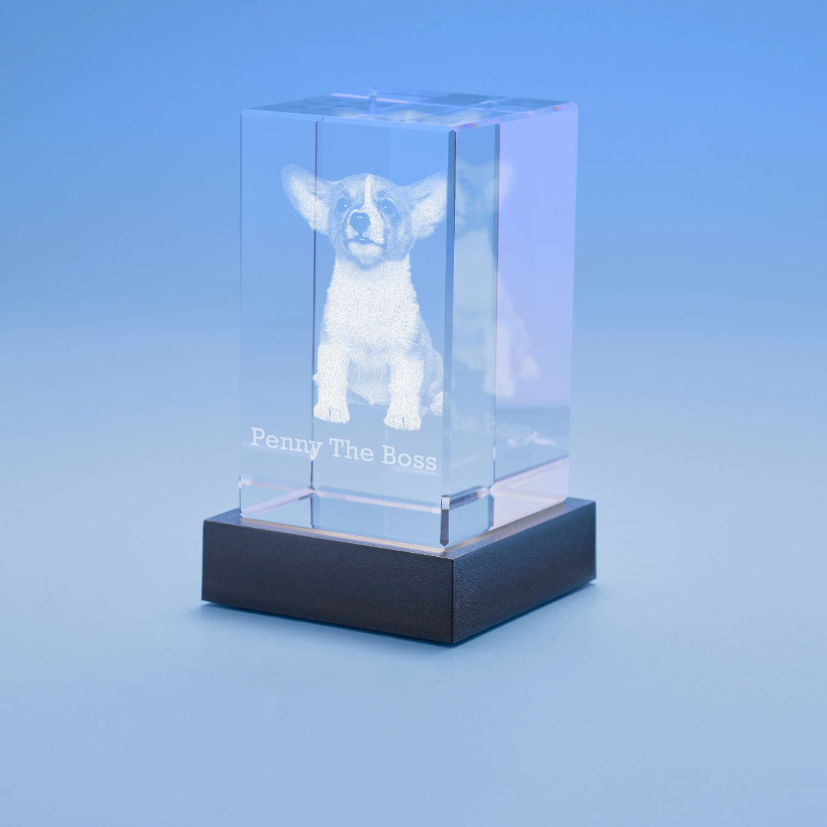 Pets Tower Crystal, 3D Engraved