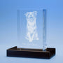 Pet 3D Photo Crystal – Personalized Engraved Pet Memorial