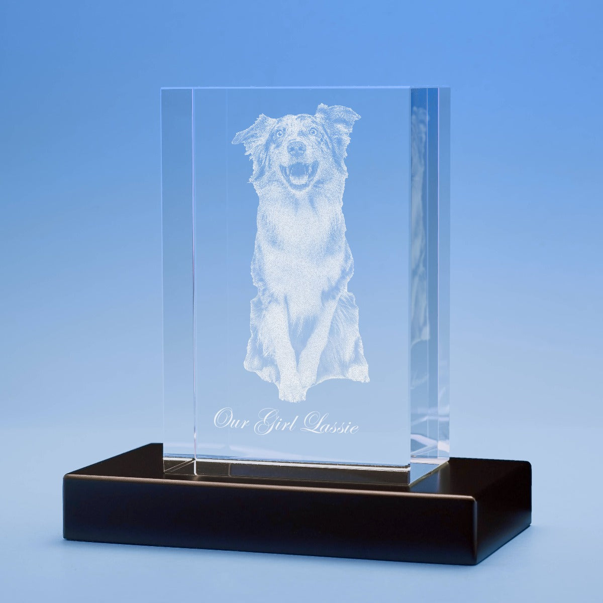 Pets Tower Crystal, 3D Engraved