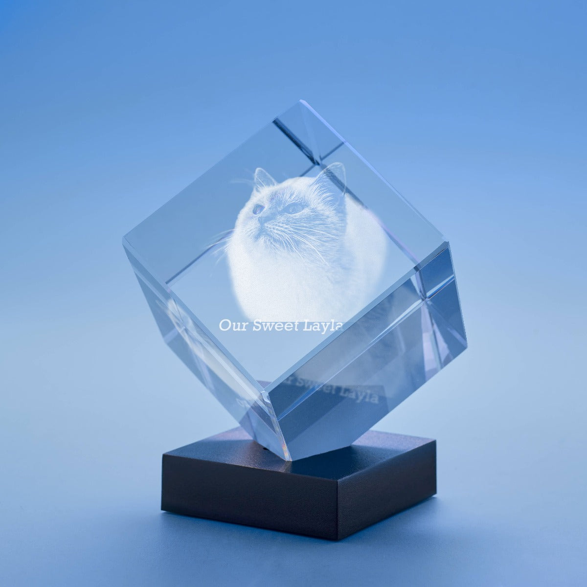 Pets Cube Crystal, 3D Engraved